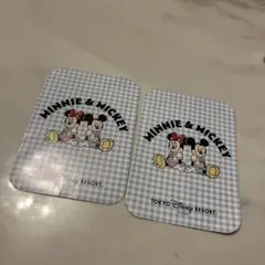 ミニー & ミッキー ステッカー 東京ディズニーリゾート