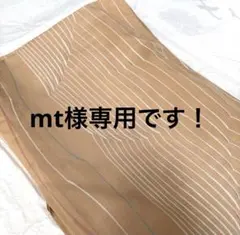 mt様専用です！のサムネイル