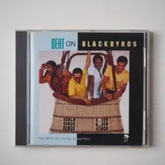 2026年最新】BLACKBYRDSの人気アイテム - メルカリ