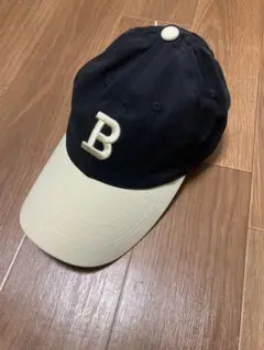 Item thumbnail for item 3fdd03f1-1c9e-4d46-a7a5-1211c83f3f86