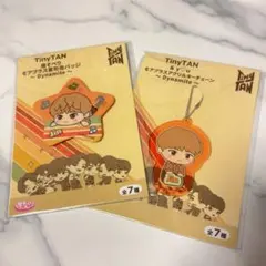 BTS ジン TinyTAN キーホルダー 缶バッジ セット売り