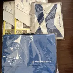 早稲田アカデミー バッグ 学習教材セット まとめ売り