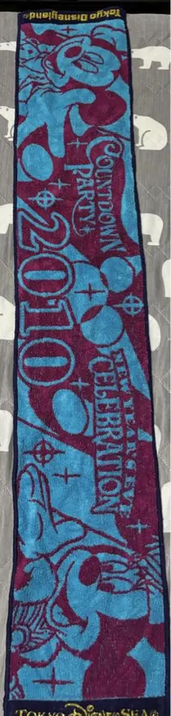 限定品!!! ディズニーランド タオル2010記念