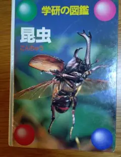 昭和レトロ 絵本