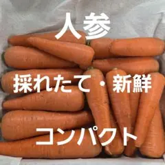 採れたて・新鮮❣️　新人参　コンパクトBOXいっぱいのサムネイル