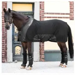 バックオントラック　ロイヤルメッシュラグデラックス