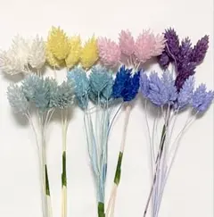 ［訳あり］ポアプランツ 小　約50本　花材のサムネイル