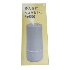 みんなにちょうどいい加湿器 Beauwell GPP19 ライトグレー 箱付きのサムネイル