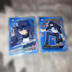 からぴち　なおきり　ポテチ　ポテトチップス　カード　トレカ　レア　ノーマル　等身