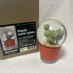 新品 DULTON PLANTS WATER GLOBE ゲオメトリクスのサムネイル