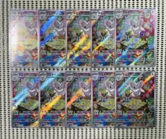 チラチーノ　10枚　　ワイルドフォース