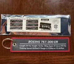 新品 JAL 日本航空 エアクラフト コレクション フライトタグ B787-8