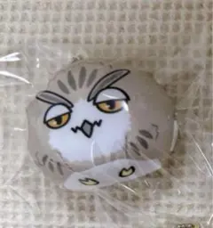 ハイキュー　動物マスコット　ミニビーズクッション　木兎