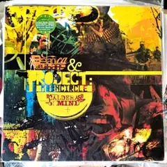 16FLIP◾️SEEDA◾️2LP◾️レコードセット 16FLIP vs SEEDA Roots & Buds 花と雨 レコード LP - メルカリ