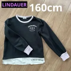LINDAUER トレーナー 裏起毛 黒 ワンポイント くま 160cm