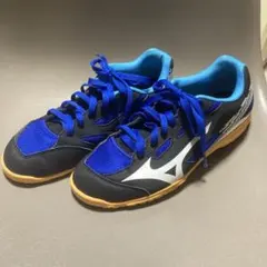 ミズノランサメントウェーブTFトレーニングシューズ 27cm ブルー