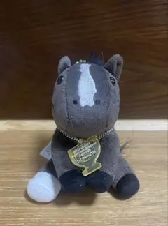 イクイノックス アイドルホース S ドバイシーマクラシック - メルカリ