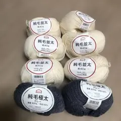 Item thumbnail for item 21dc2d56-a991-46f9-bf1f-a5c547490b09