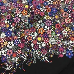 USAコットンEffervescence pigital Border