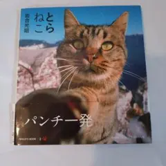 とらねこ　岩合光昭