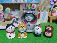 デコレ　コンコンブル　旅