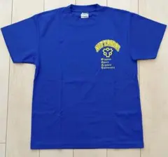 ‼️非売品 日体大LIONSロンＴ 新品未使用 2026年最新】日体大 tシャツの人気アイテム - メルカリ