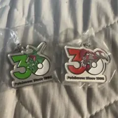 ポケモン 30周年記念 メタルチャーム レックウザ グラードン