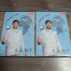 大谷翔平 ECC ポストカード2枚セット