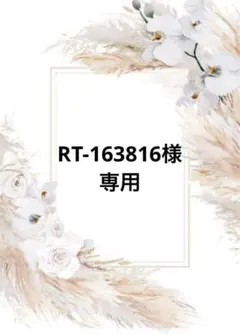 RT-163816様専用