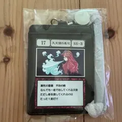 HUNTER × HUNTER ハンターハンター パスケース 大天使の息吹