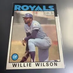 Item thumbnail for item c7ceb1d8-3c61-442e-b958-d1c3397381aa