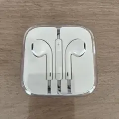 Appleイヤホン　ホワイト 収納ケース付き