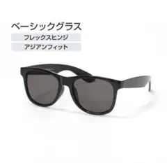 アジアンフィットベーシックグラス TR-C01BKBK サングラス TIGORAのサムネイル