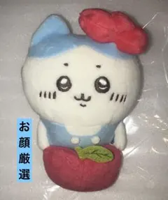 デスクトップから見守るひっかけぬいぐるみ ハチワレ × ハローキティ