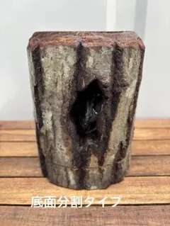 Item thumbnail for item 02962b16-6caa-470f-a70b-73ff0dc27eda