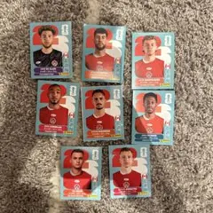 PANINI FIFA WORLD CUP 2026 カナダ代表カード8枚