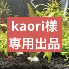 kaori様 リクエスト 3点 まとめ商品