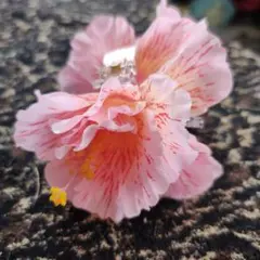 可愛いピンク花モチーフクリップヘアピン