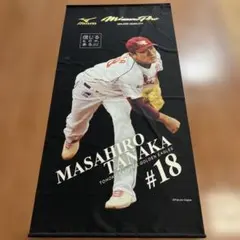 Item thumbnail for item cfe38c65-3240-43be-b2e9-5f236c85a2f7