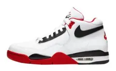 29 Nike Flight Legacy 