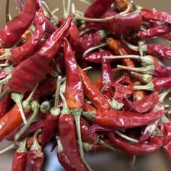乾燥赤唐辛子　自家製　55g