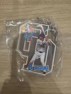 中日ドラゴンズ　ドラゴンズガチャ オーロラアクリルキーホルダー 大島洋平　8