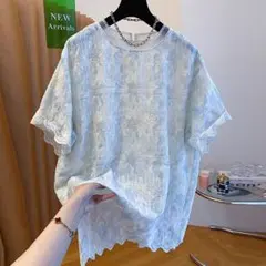 Tシャツ きれいめコーデ 刺繍 大きいサイズ 切り替 おしゃれ度高め レース