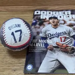 大谷翔平等身大パネル 新品未使用 抽選当選品 - メルカリ