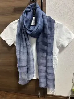 Item thumbnail for item 243bf77b-4c77-4b6b-bb4f-58a16071ba3e