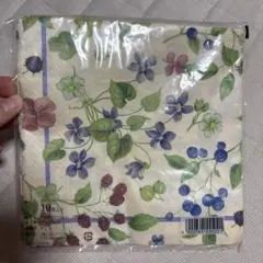 Item thumbnail for item 1ae5aea1-f37c-458a-8fb0-fc991c7ff4d1