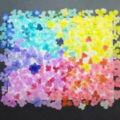 SALE❉押し花素材アナベル❉788