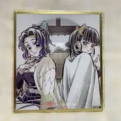 鬼滅の刃 WEBSHOP くじ アクリル色紙 胡蝶しのぶ 栗花落カナヲ B33①