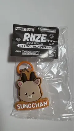 RIIZE ぷっくりめじるしアクセサリー ガチャガチャ ソンチャン
