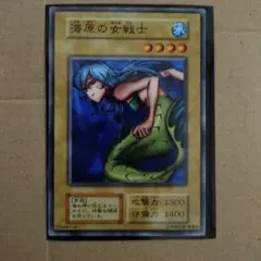 2026年最新】海原の女戦士の人気アイテム - メルカリ